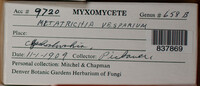 Image Associated With the Occurence